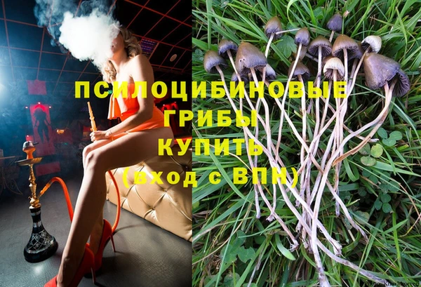 ALPHA-PVP Армянск